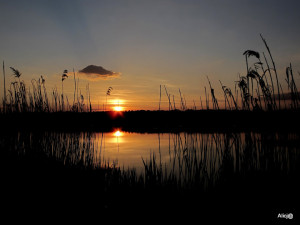 wystawa, Tychy 2013 314